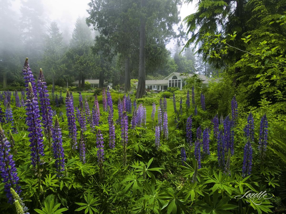 Colette'S Bed & Breakfast Port Angeles Exteriér fotografie